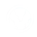 Icono de Derecho Migratorio